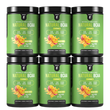 Load image into Gallery viewer, 6 Bottles of Natural BCAA